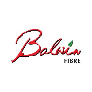 Baldwin website logo